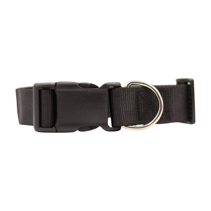 Bravo and Company Leash and Collar | Black