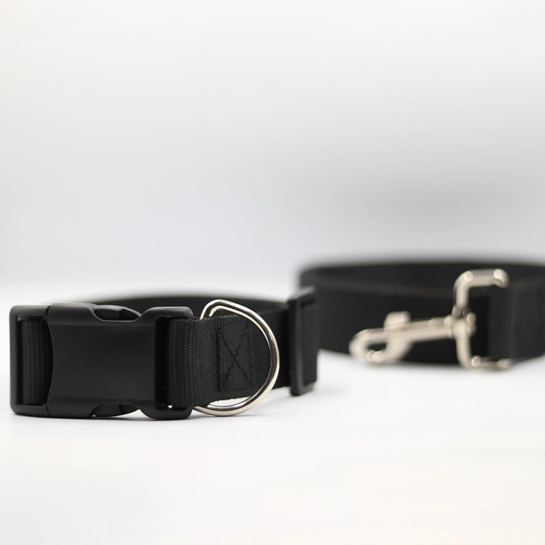 Bravo and Company Leash and Collar | Black