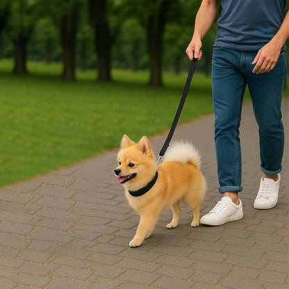 Bravo and Company Leash and Collar | Black