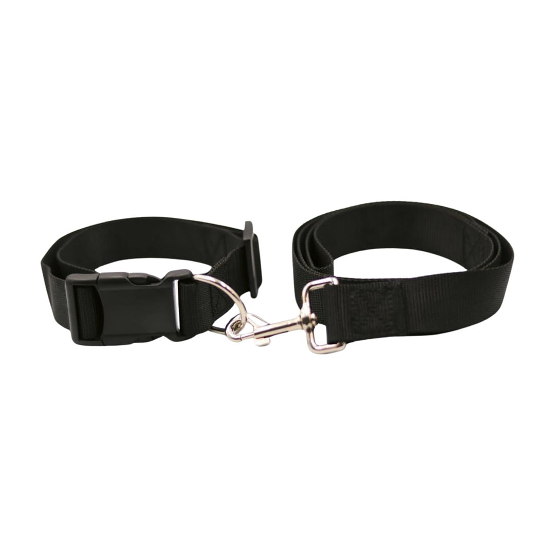 Bravo and Company Leash and Collar | Black
