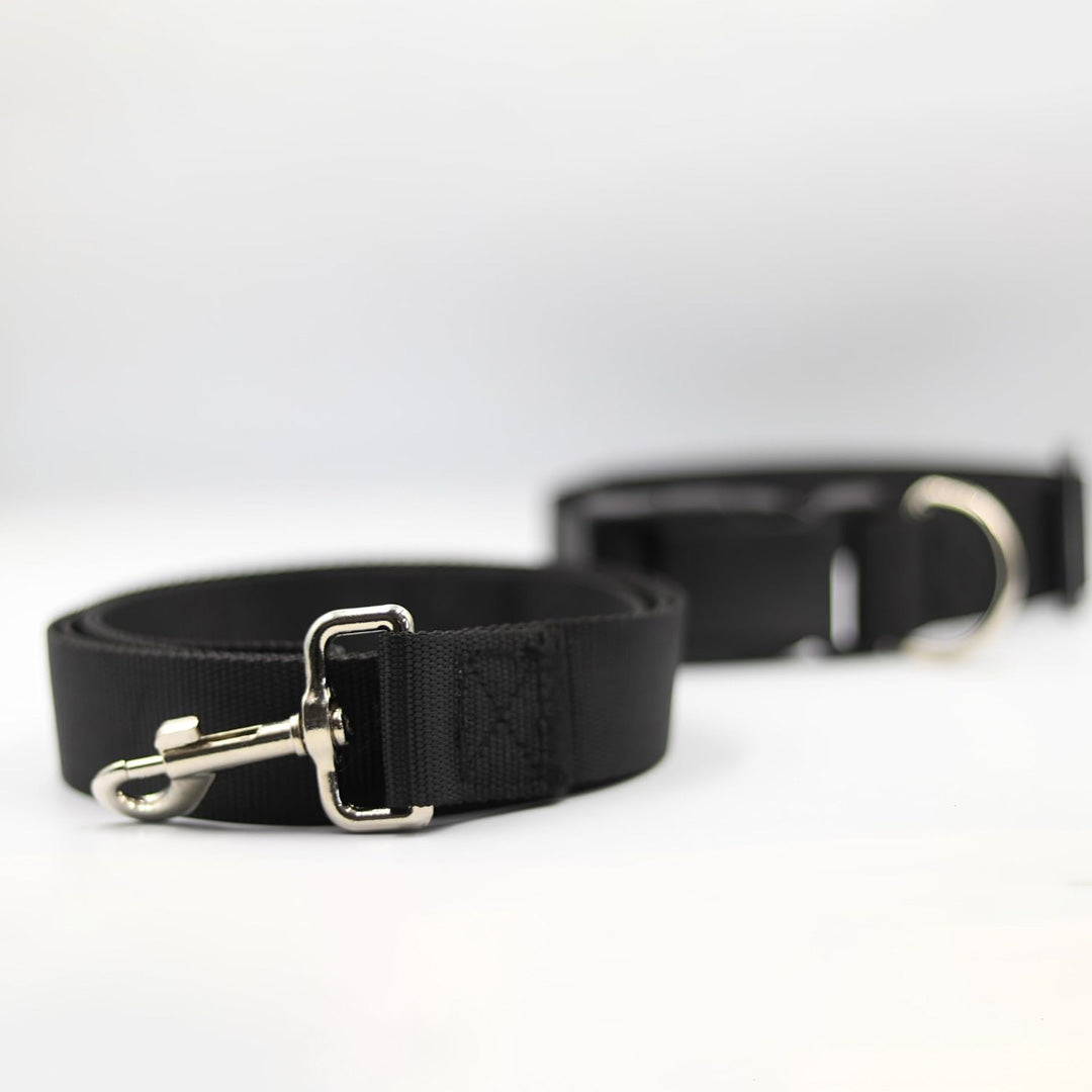 Bravo and Company Leash and Collar | Black