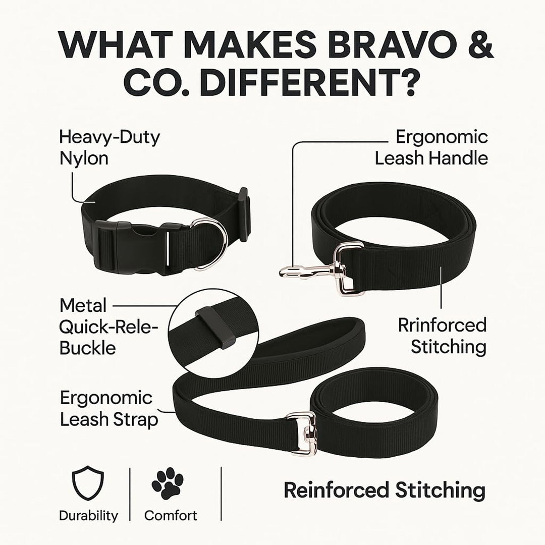 Bravo and Company Leash and Collar | Black