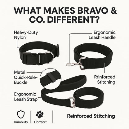Bravo and Company Leash and Collar | Black