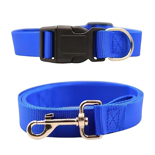 Bravo and Company Leash and Collar | Blue