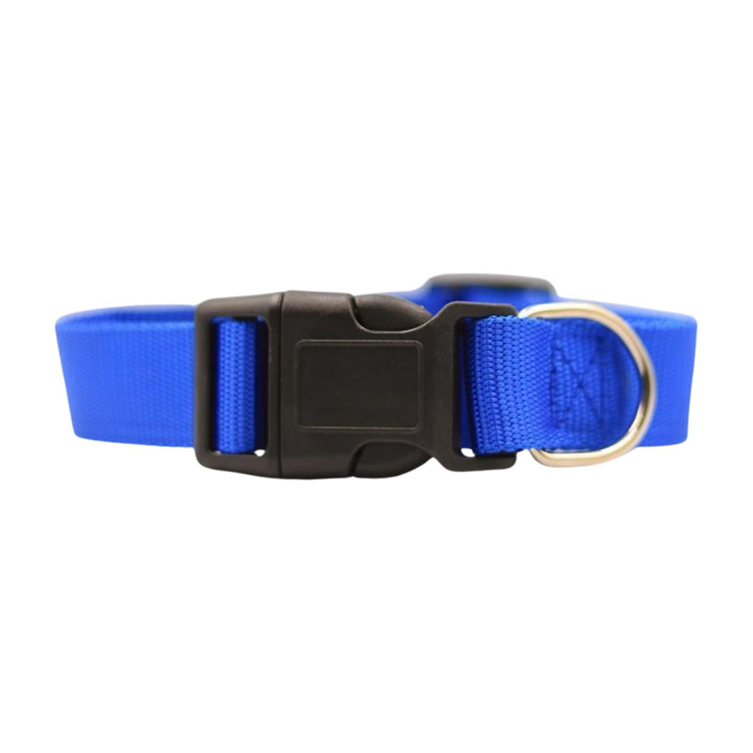 Bravo and Company Leash and Collar | Blue