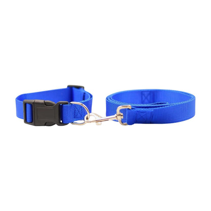 Bravo and Company Leash and Collar | Blue