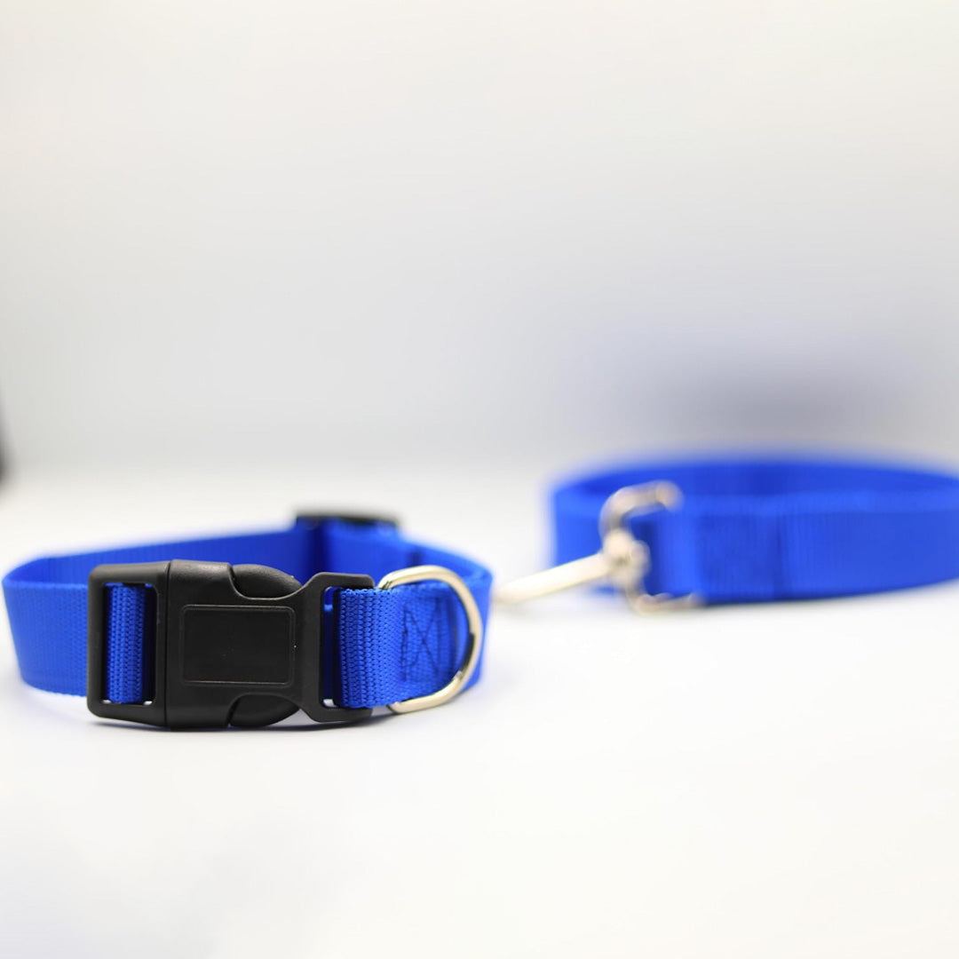 Bravo and Company Leash and Collar | Blue