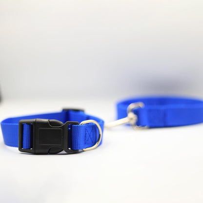 Bravo and Company Leash and Collar | Blue