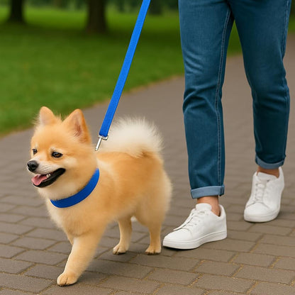 Bravo and Company Leash and Collar | Blue