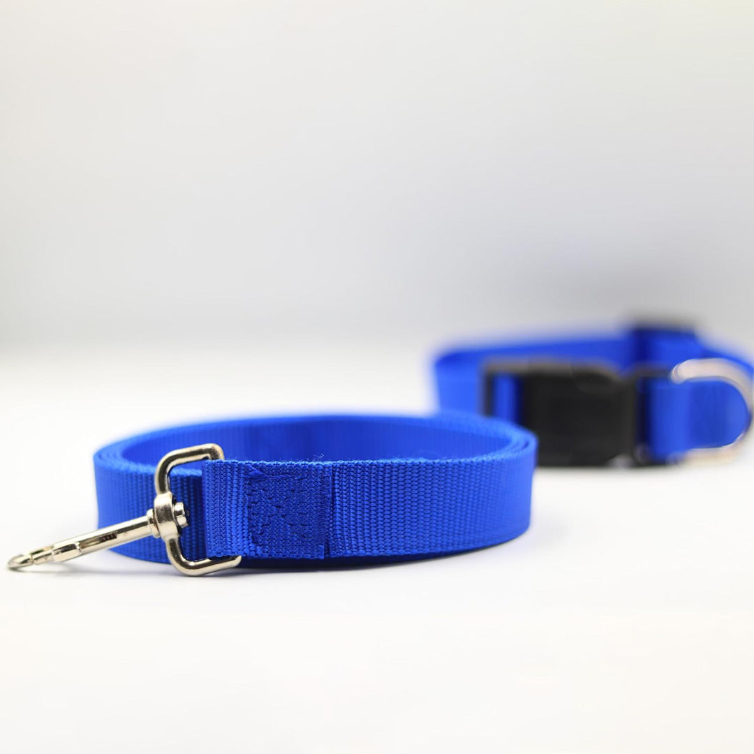 Bravo and Company Leash and Collar | Blue