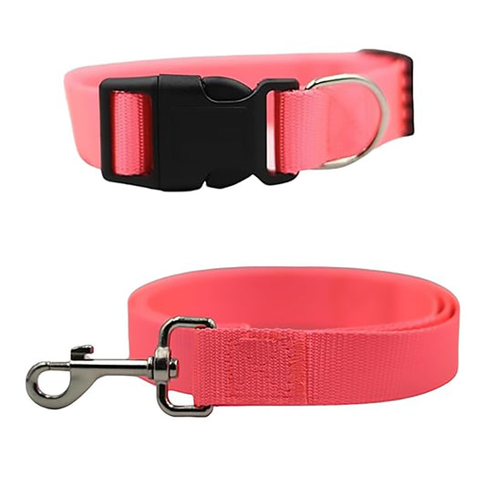 Bravo and Company Leash and Collar | Pink