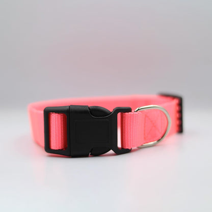 Bravo and Company Leash and Collar | Pink