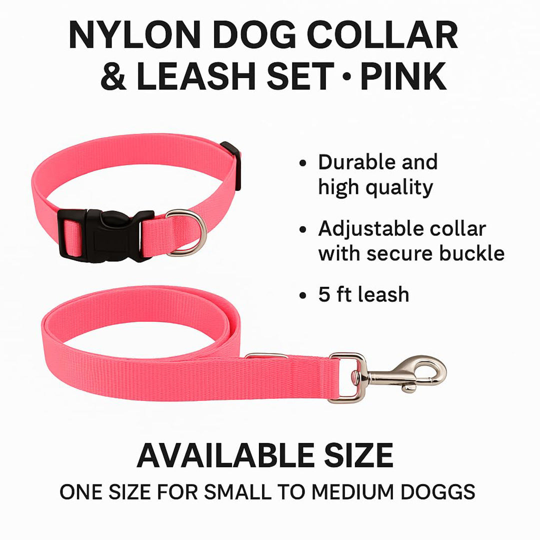 Bravo and Company Leash and Collar | Pink