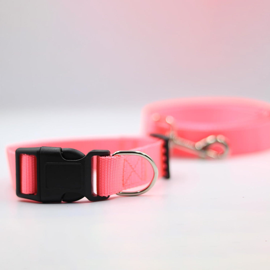 Bravo and Company Leash and Collar | Pink