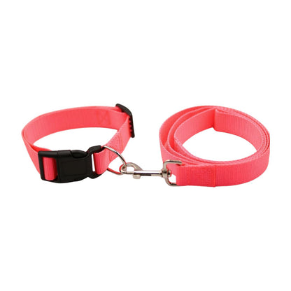 Bravo and Company Leash and Collar | Pink
