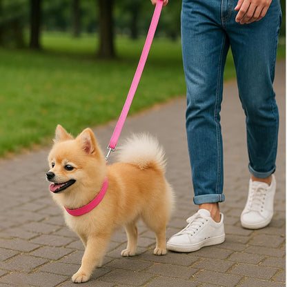 Bravo and Company Leash and Collar | Pink