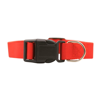Bravo and Company Leash and Collar | Red