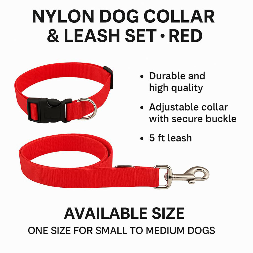 Bravo and Company Leash and Collar | Red