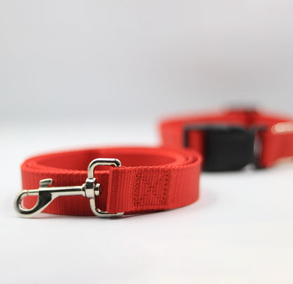 Bravo and Company Leash and Collar | Red