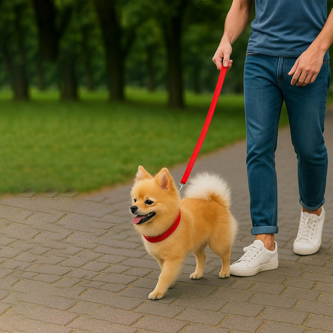 Bravo and Company Leash and Collar | Red