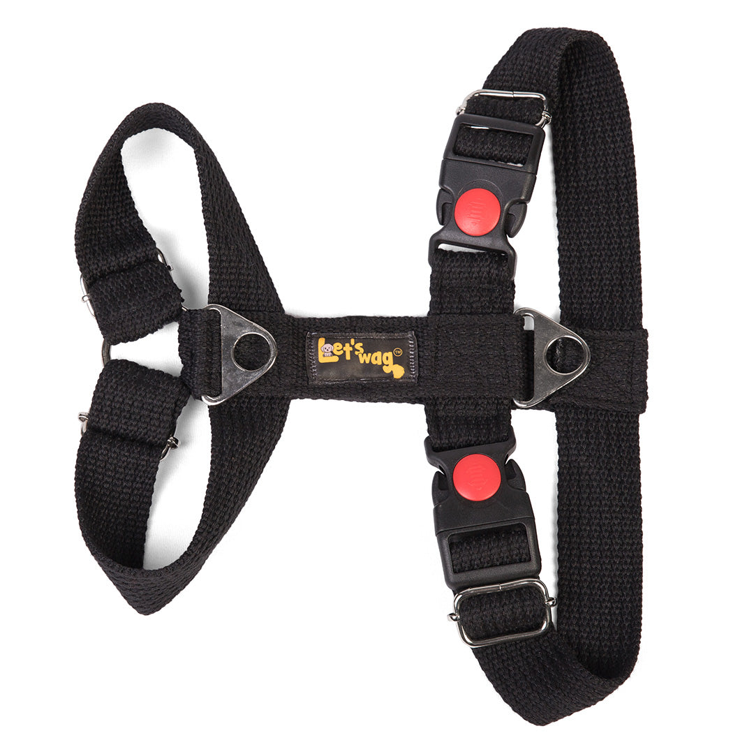 Let's Wag H - Harness - Black