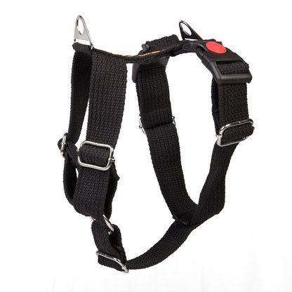 Let's Wag H - Harness - Black