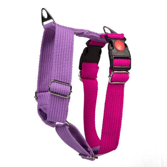 Let's Wag Training & Safety Design H - Harness - Pink & Purple