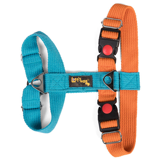Let's Wag Training & Safety Design H - Harness - Cobalt Blue & Orange