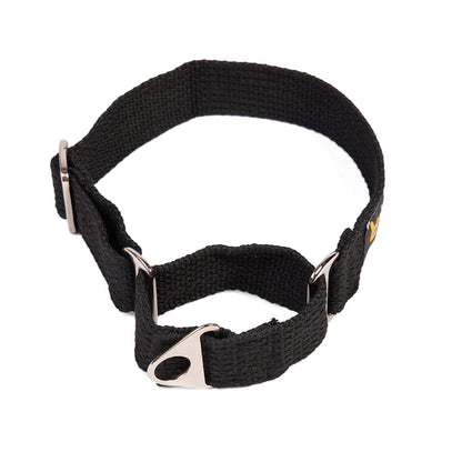 Let's Wag Martingale Fabric Dog Collar - Black