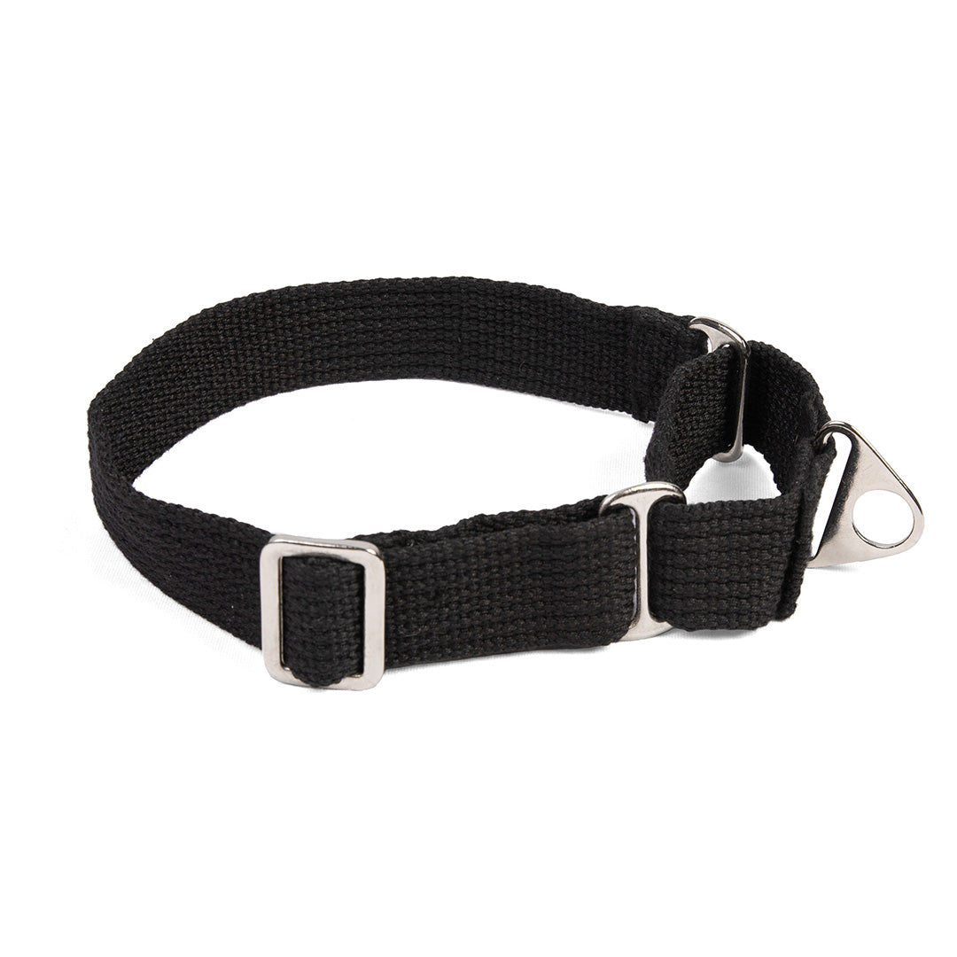 Let's Wag Martingale Fabric Dog Collar - Black