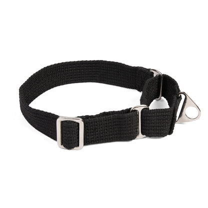 Let's Wag Martingale Fabric Dog Collar - Black