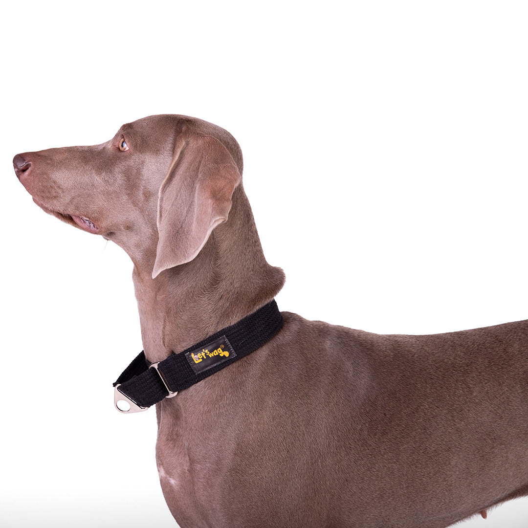 Let's Wag Martingale Fabric Dog Collar - Black