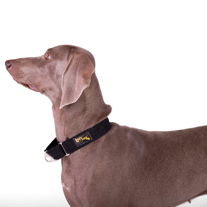 Let's Wag Martingale Fabric Dog Collar - Black