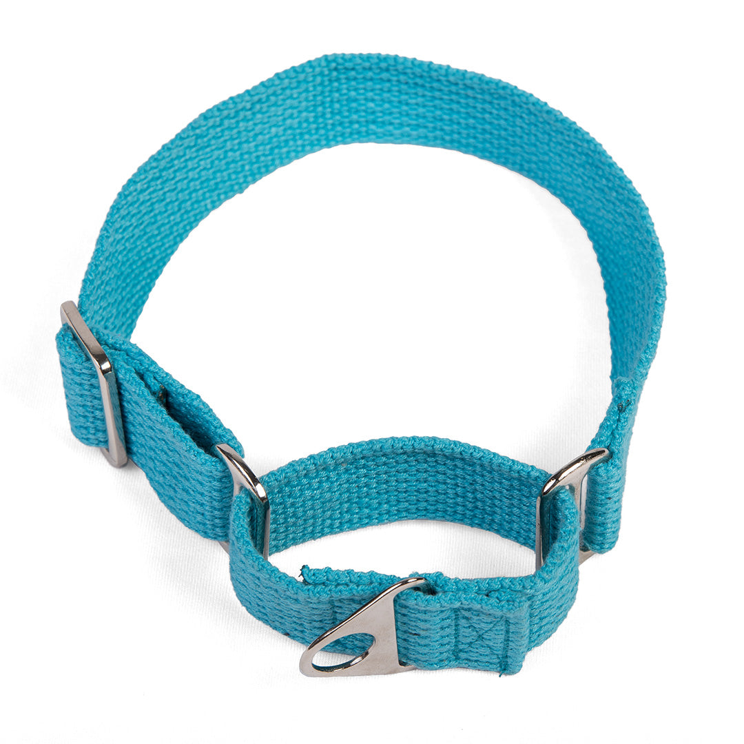 Let's Wag Martingale Fabric Dog Collar - Cobalt Blue