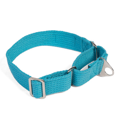 Let's Wag Martingale Fabric Dog Collar - Cobalt Blue