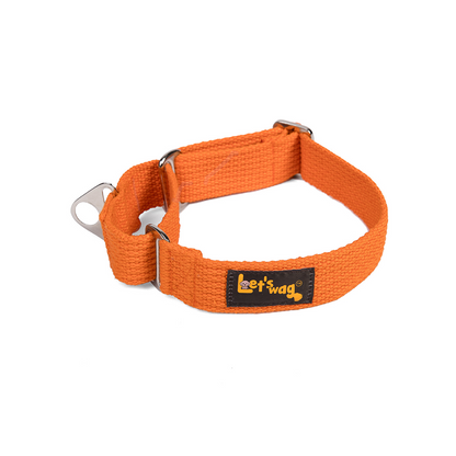 Let's Wag Martingale Fabric Dog Collar - Orange