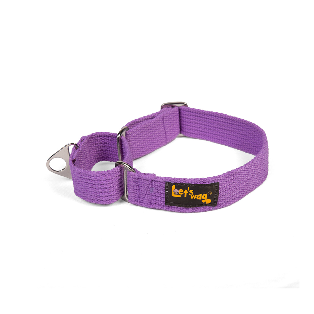 Let's Wag Martingale Fabric Dog Collar - Purple