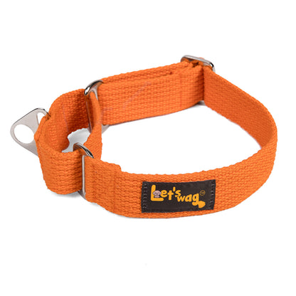Let's Wag Martingale Fabric Dog Collar - Orange