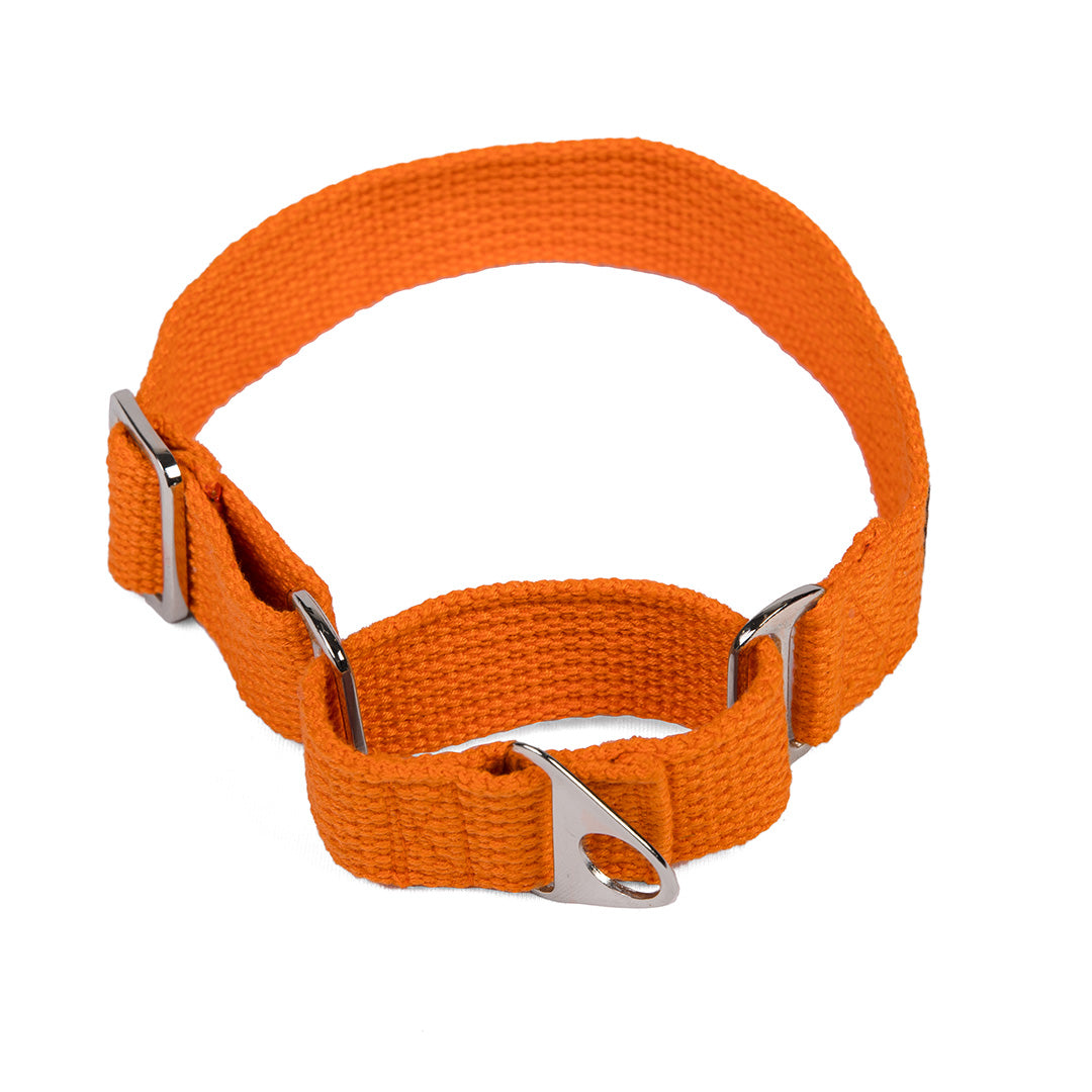Let's Wag Martingale Fabric Dog Collar - Orange