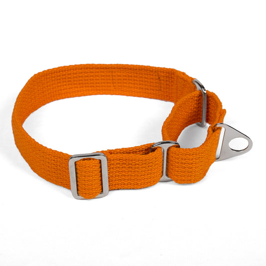 Let's Wag Martingale Fabric Dog Collar - Orange