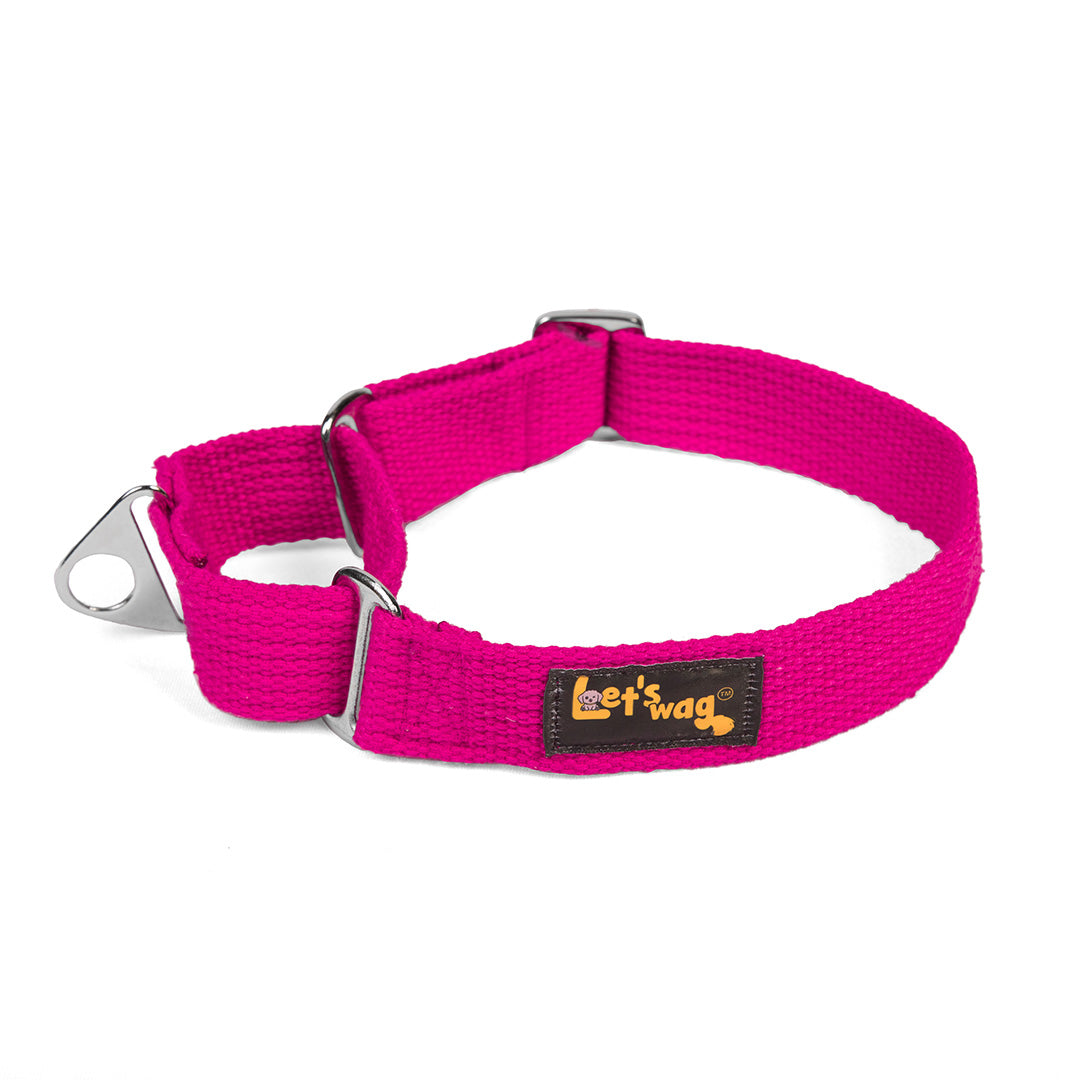 Let's Wag Martingale Fabric Dog Collar - Pink
