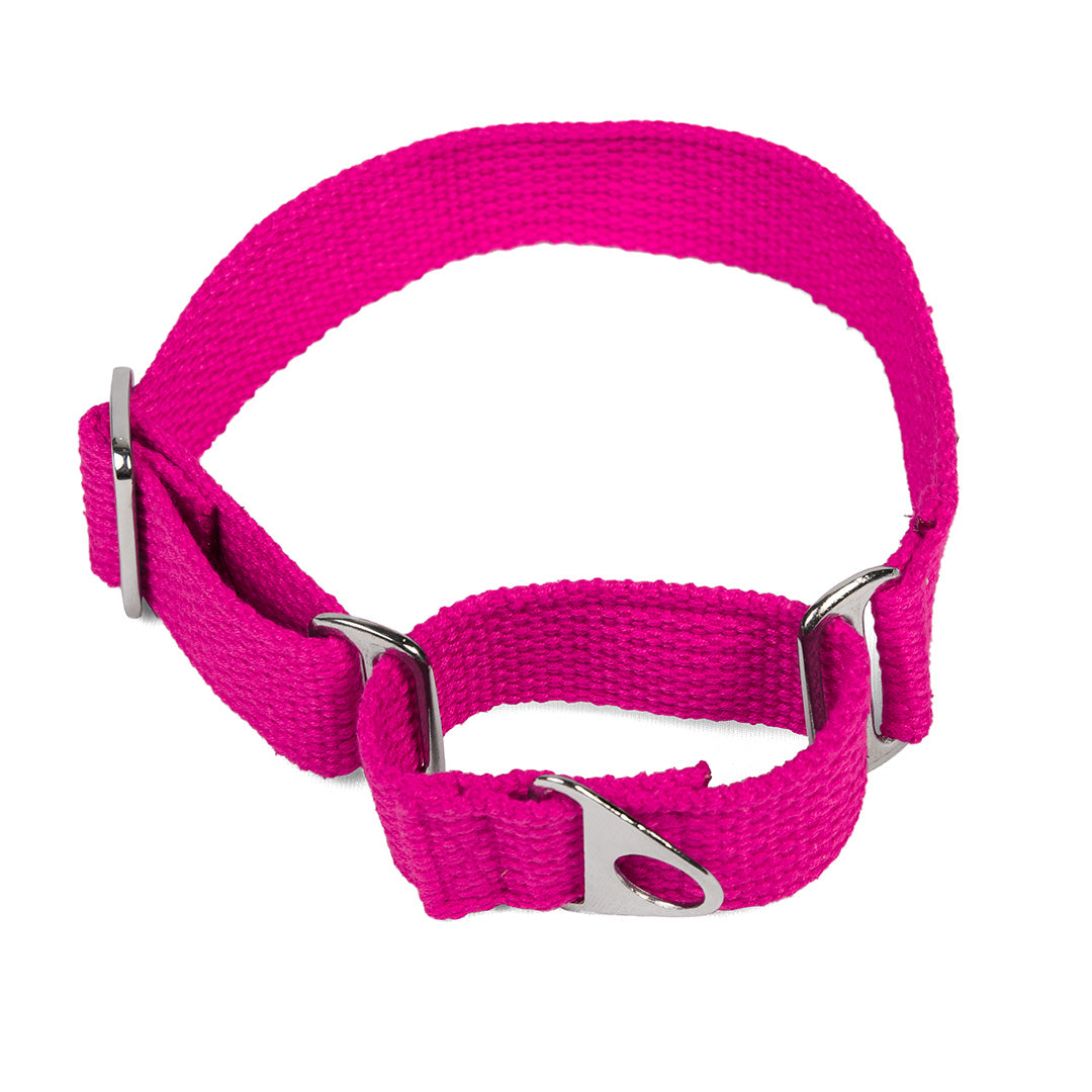 Let's Wag Martingale Fabric Dog Collar - Pink