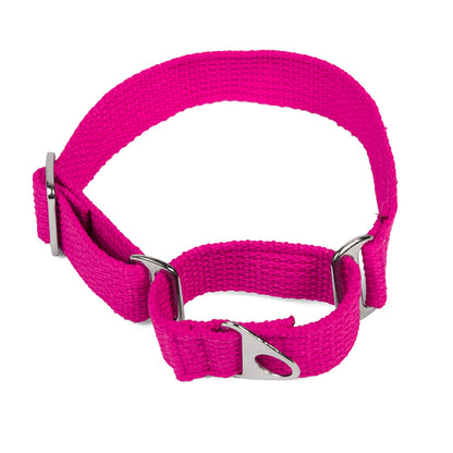 Let's Wag Martingale Fabric Dog Collar - Pink