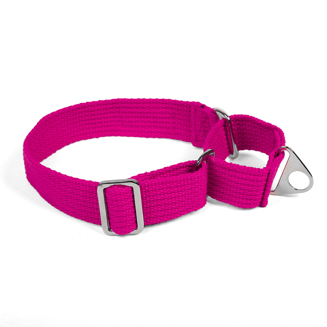 Let's Wag Martingale Fabric Dog Collar - Pink