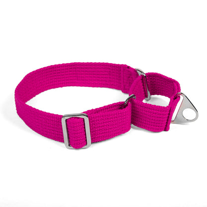 Let's Wag Martingale Fabric Dog Collar - Pink