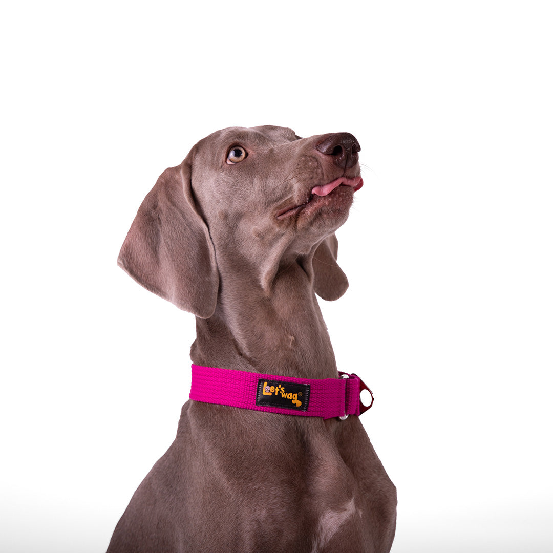Let's Wag Martingale Fabric Dog Collar - Pink
