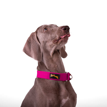 Let's Wag Martingale Fabric Dog Collar - Pink