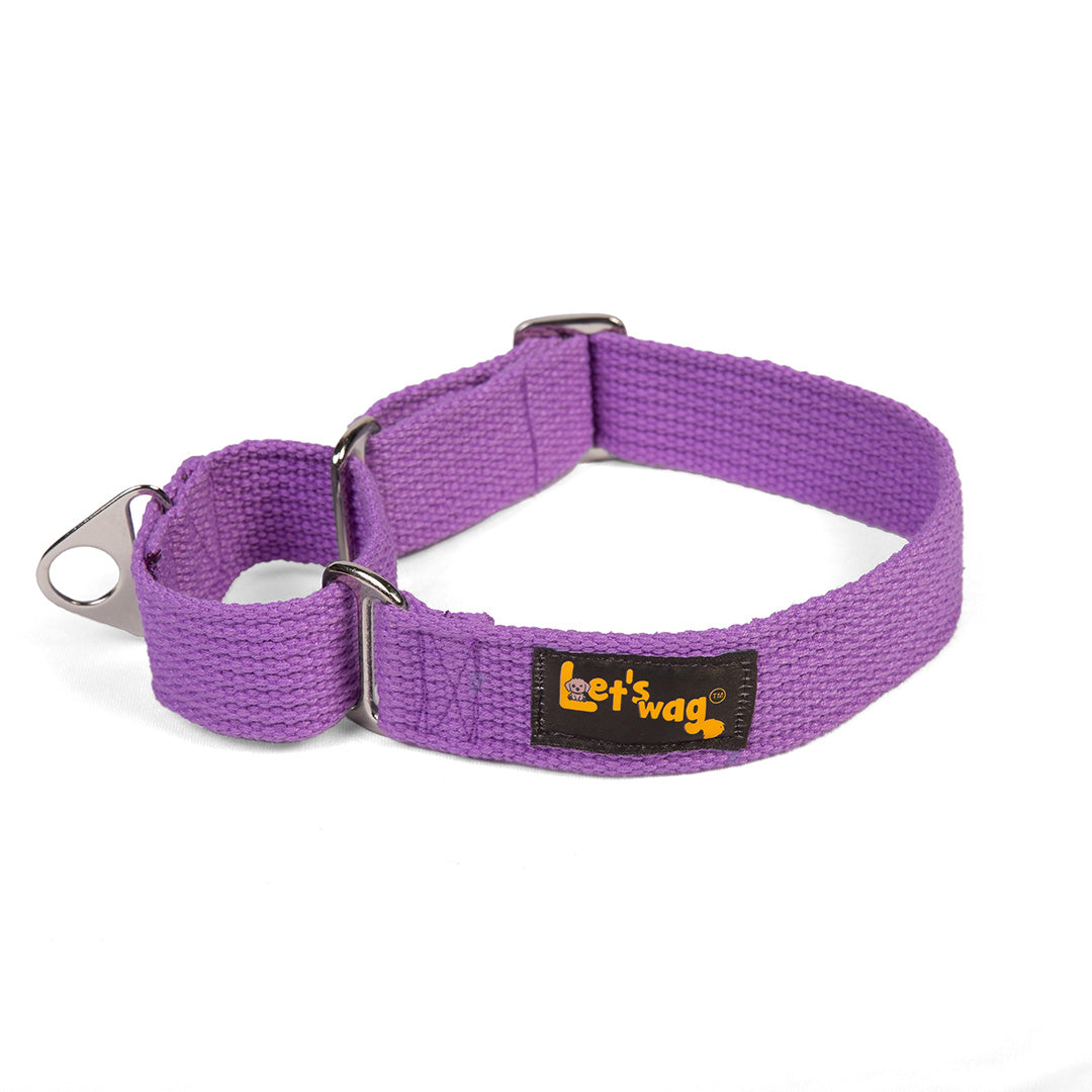 Let's Wag Martingale Fabric Dog Collar - Purple