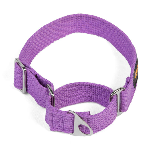 Let's Wag Martingale Fabric Dog Collar - Purple