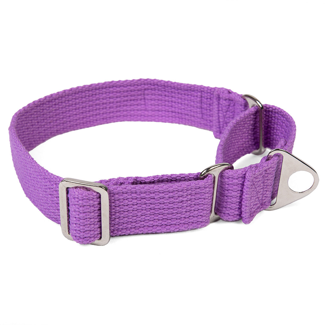 Let's Wag Martingale Fabric Dog Collar - Purple